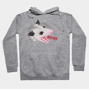 Pronoun opossum she/her Hoodie